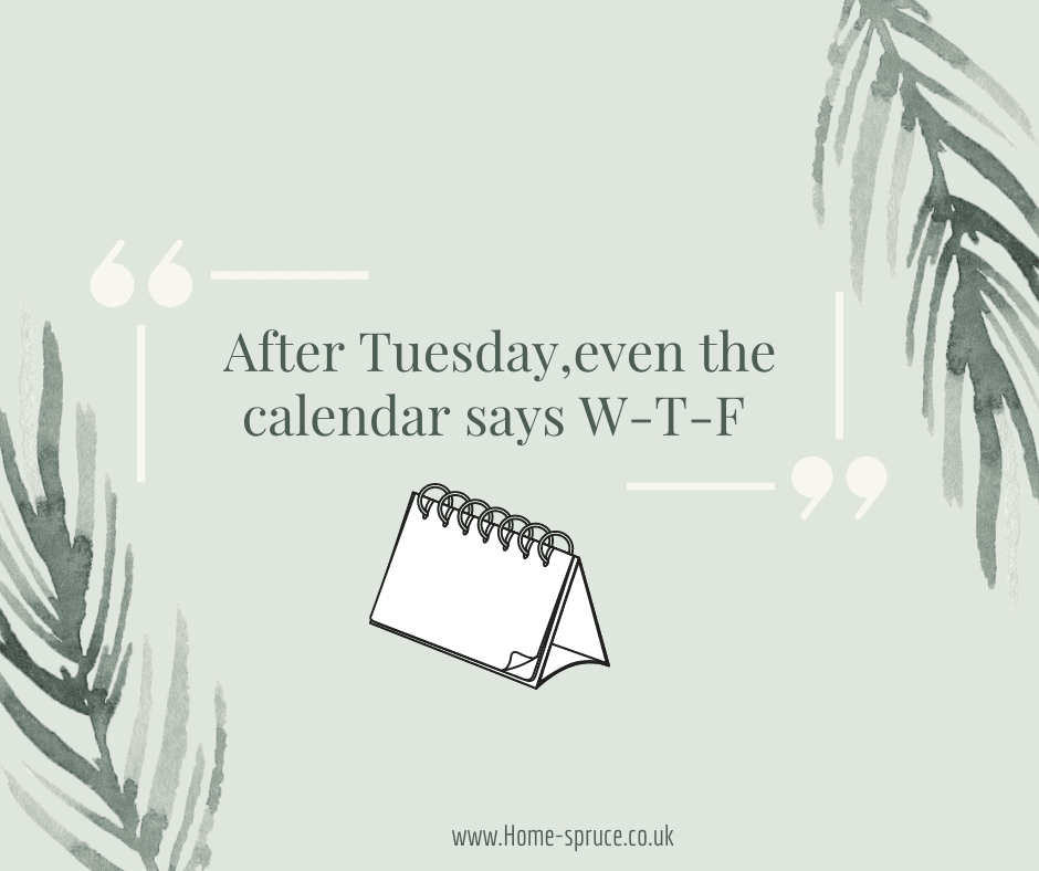 After Tuesday, even the calendar says W-T-F